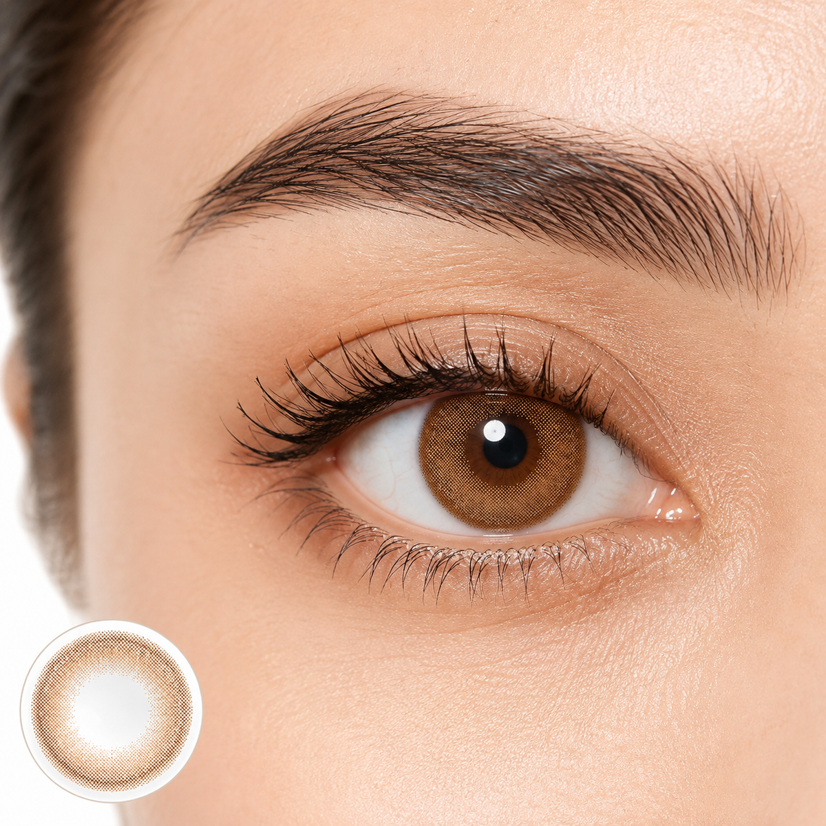 Sunsoft Silver | Caramel Brown Contact Lens (Plano)