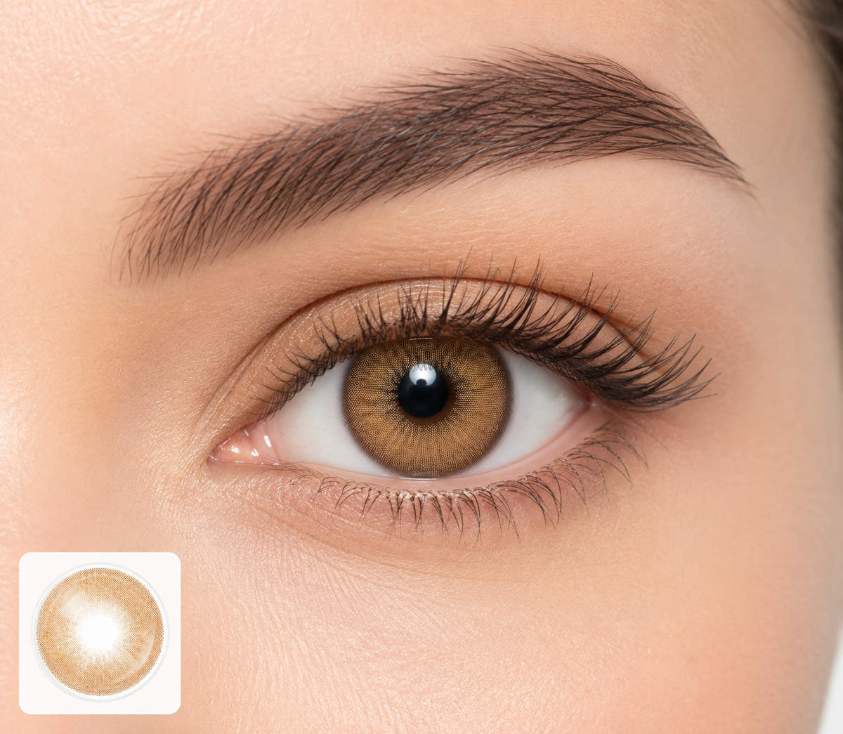 Sunsoft Silver | Toffee Contact Lens (Plano)