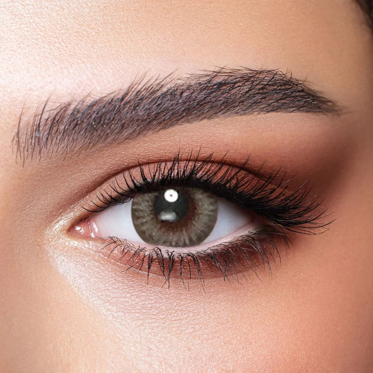 Bella | Ocean Blue Contact Lens (Plano)