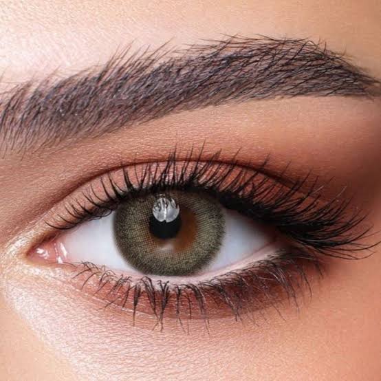 Bella | Pine Green Contact Lens (Plano)