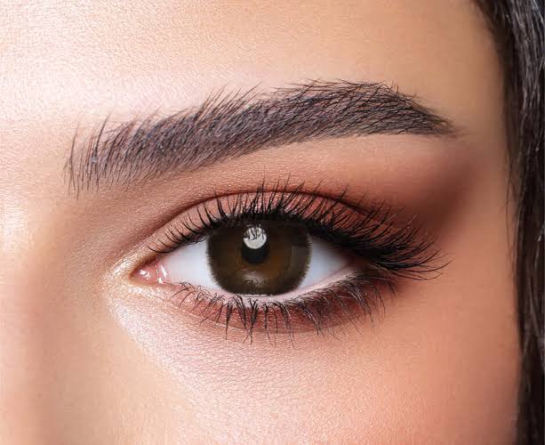 Bella | Cedar Contact Lens (Plano)