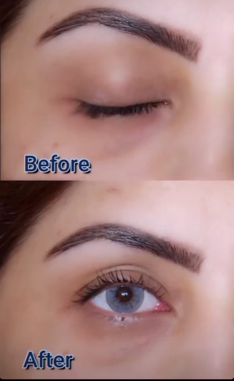 Bella | Bluish Gray Contact Lens (Plano)