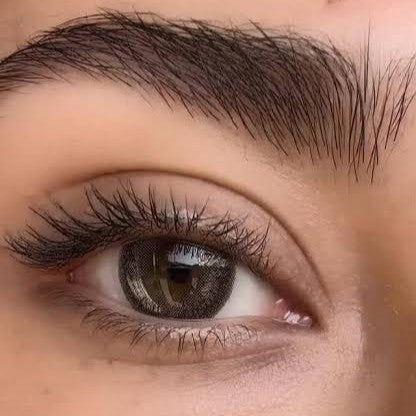 Bella | Ash Brown Contact Lens (Plano)