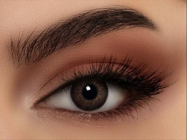 Ablenses highlight brown
