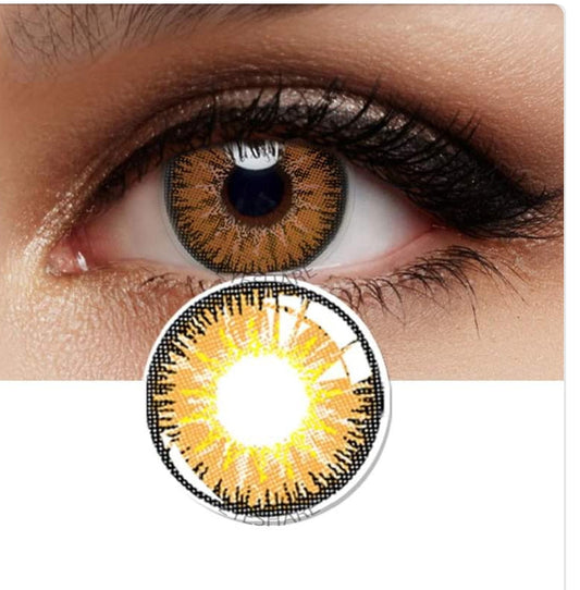 3d Hazel