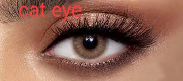 Original Dahab – AB Lenses Cosmetics