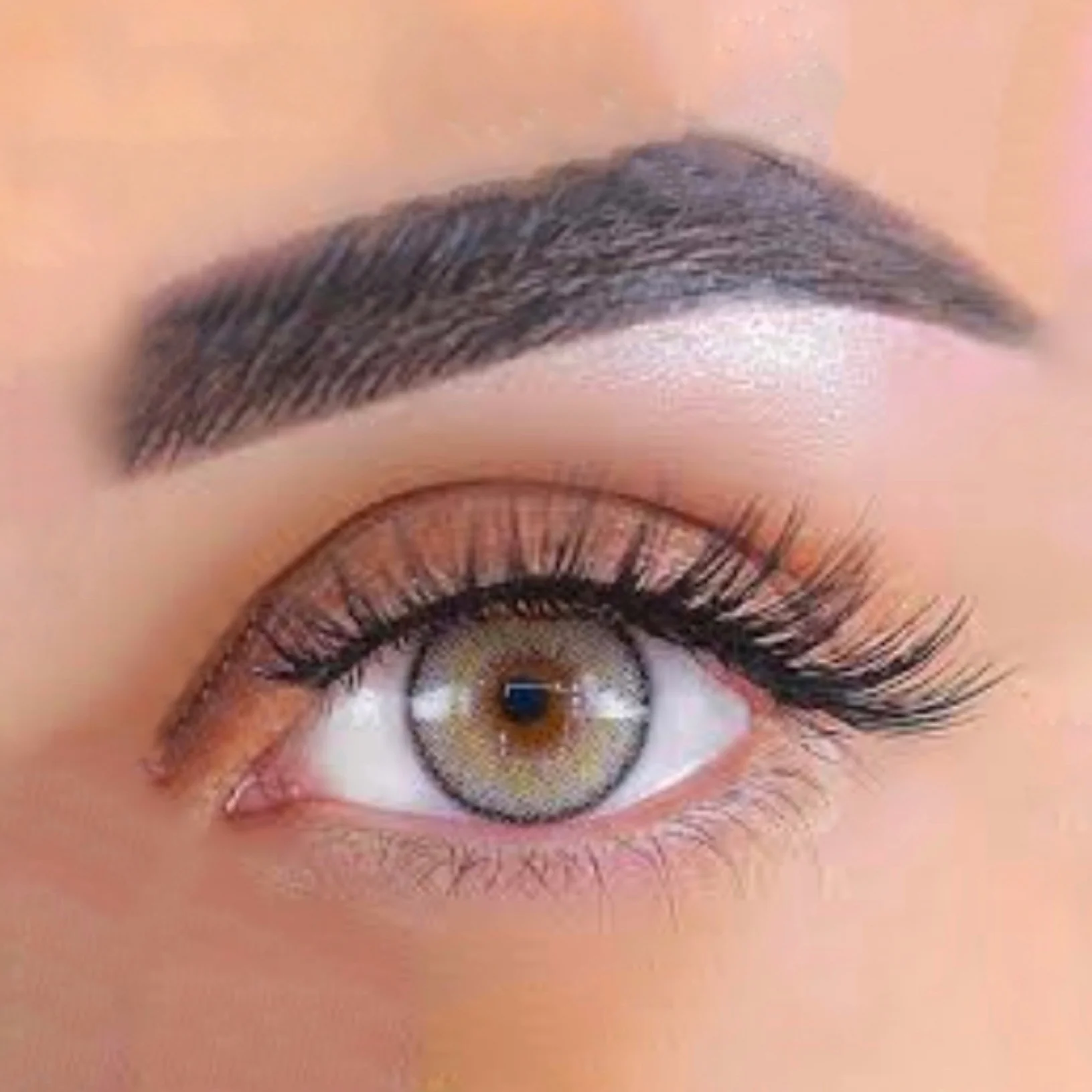 image_fdd996e9-aad8-4c87-bf9e-26a2eb0a8f34